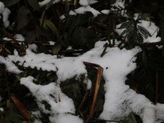 -西岭雪山大飞水景区