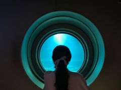 -白鹤梁水下博物馆