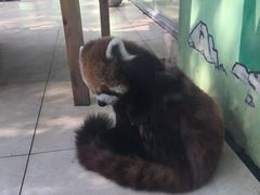 -荆州中山公园动物园