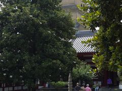 -大慈恩寺(大雁塔)