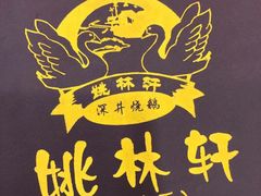 -姚林轩