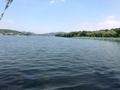 -西湖外事游船(花港观鱼码头)