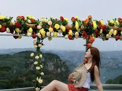 -王莽岭风景区
