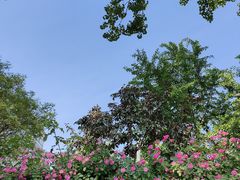 -中国石油大学（北京）(北京西校区)
