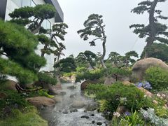 -罗红摄影艺术馆