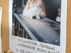-KAFKA·卡夫卡咖啡(文林店)