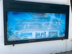 -广东惠东海龟国家级自然保护区