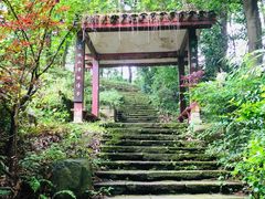 -龙井村