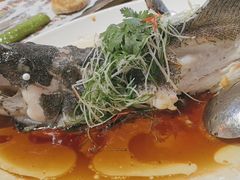 -德胜轩正宗顺德菜(宝安沙井会展中心店)