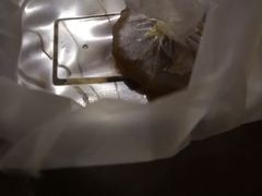 -聂记粤菜馆(鼓西路店)