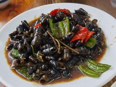 紫苏炒山坑螺-德食竹园塘农庄(巧克力王国店)
