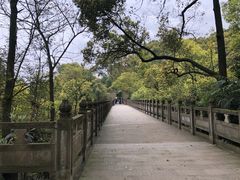 -南山植物园