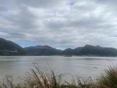 -北岐滩涂