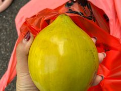 -三亚新鸿港水果一级批发市场
