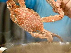 -科华明宇豪雅饭店·汇景全日制餐厅