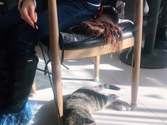 -平行世界·猫咖(首经贸店)