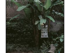 -胶囊画廊