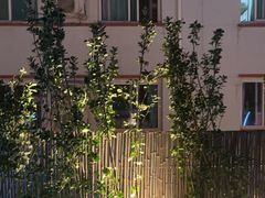 -羊门客在·烤盐池滩羊·川菜