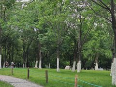 -天鹅湖体育公园