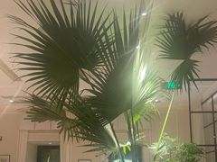 -金谷仓家庭料理(马泉营店)