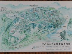 -铁山坪森林公园