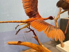 -国家自然博物馆