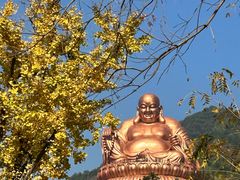 -溪口-滕头旅游景区