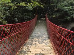 -安吉龙王山风景区