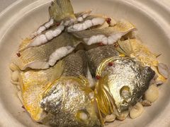 砂锅焗黄花鱼-1937青岛老味道·海肠捞饭·青岛菜(大鲍岛栈桥店)