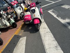 -养马岛旅游度假区
