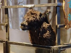 -酷嗒动物文化乐园(cutezoo西溪乐天城店)