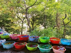 -青岛崂山太清宫