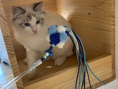 -听TA说宠咖·宠物生活馆(天韵水岸店)