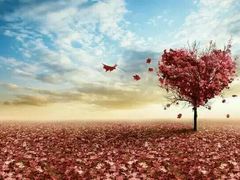 -乐享养生(东湖店)