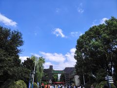 -溱湖国家湿地公园