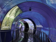 -房山世界地质公园博物馆