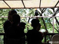 -吉隆坡雀鸟公园