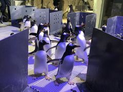 -成都浩海立方海洋公园