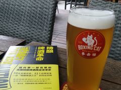 -Boxing Cat Brewery拳击猫精酿啤酒馆(永福店)
