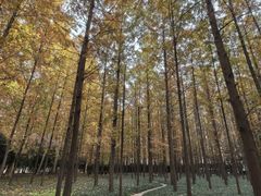 -河南省黄河迎宾馆