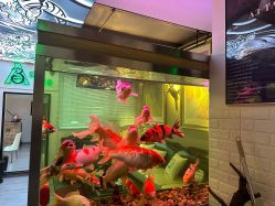 -雕哥的纹身店A3 TATTOO&纹身培训