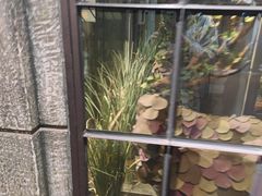 -范设计花园餐酒咖·中西餐·咖啡厅·酒馆
