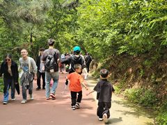 -敬亭山风景名胜区