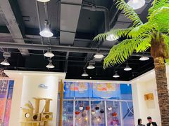 -藏猫猫咖啡主题馆(中央大道店)