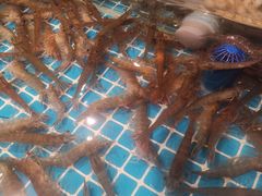 -一方渔歌蒸汽海鲜自助(文化路万达广场店)