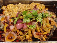 -沈姐万州烤鱼(沙坪坝七中店)