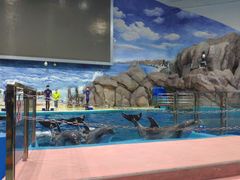 -福州罗源湾海洋世界旅游区