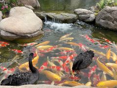 -罗红摄影艺术馆