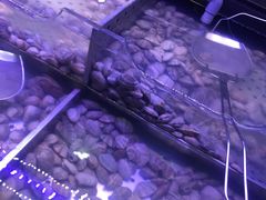 -盛江山自助料理(太原街万达店)