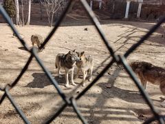 -大连森林动物园